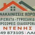 01 denis logo