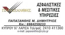 01 papaxanthis card