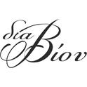 01 diaviou logo1