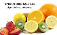 01 trikoupis logo