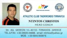 01 ntintos logo